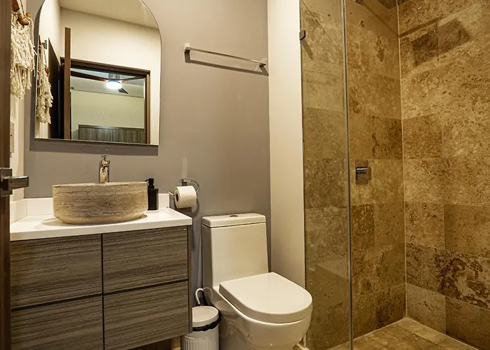 Aparment In The Zone Of *