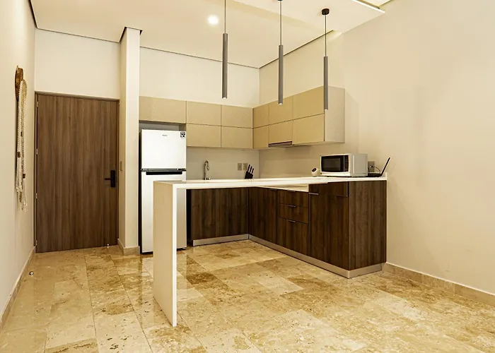 Aparment In The Zone Of