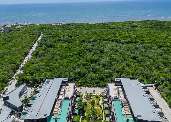 Aparment In The Zone Of