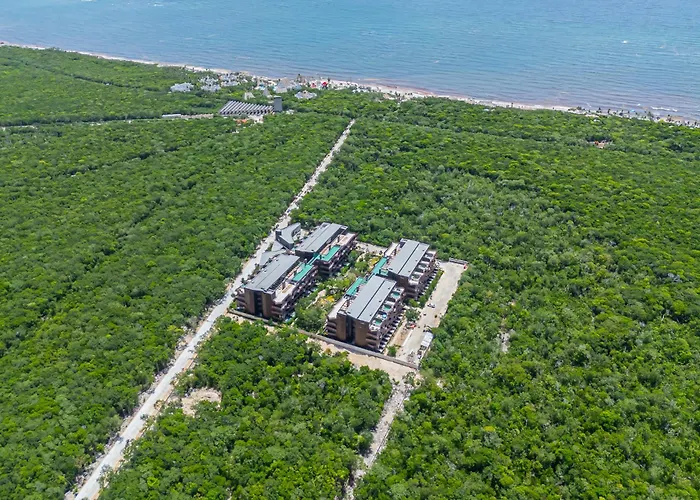 Aparment In The Zone Of Tulum